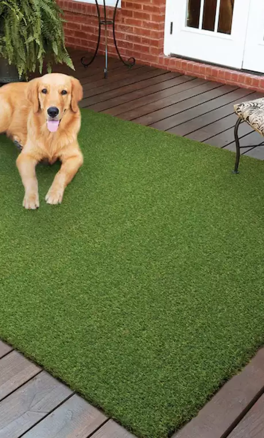 turf3
